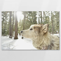 AL-120W080