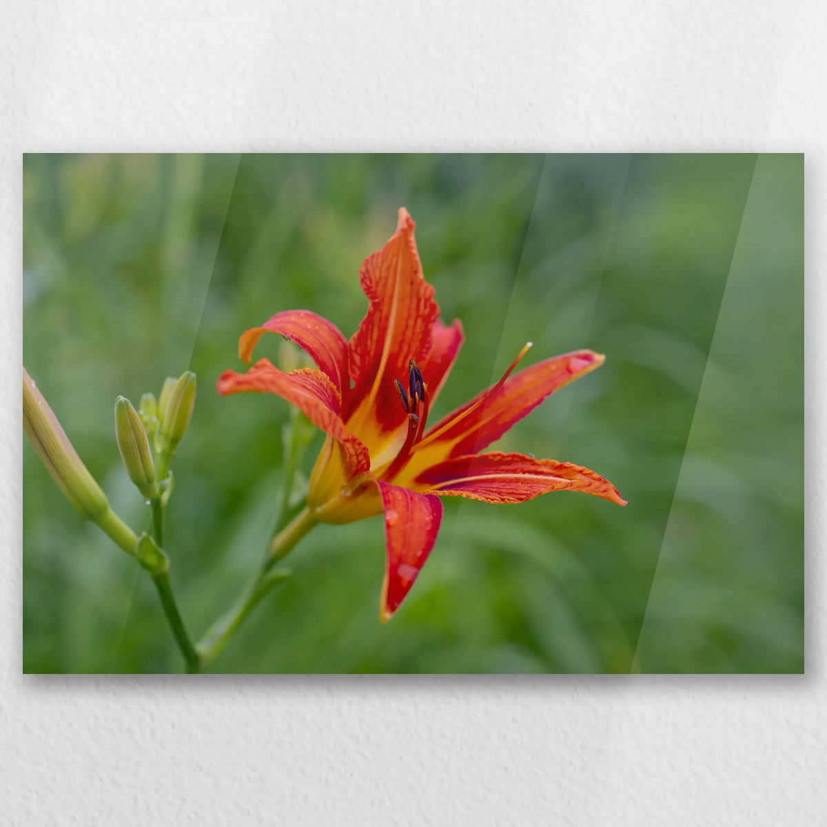 AC-060W040