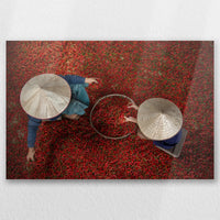 AL-045W030