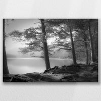 LW-045W030