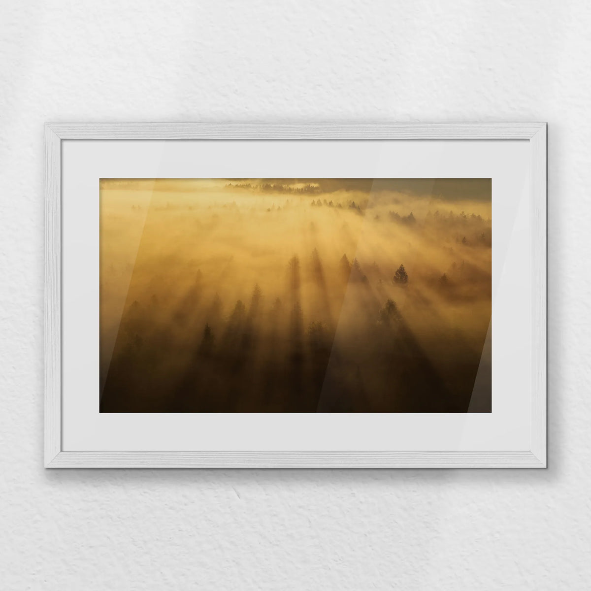 PWP060W040