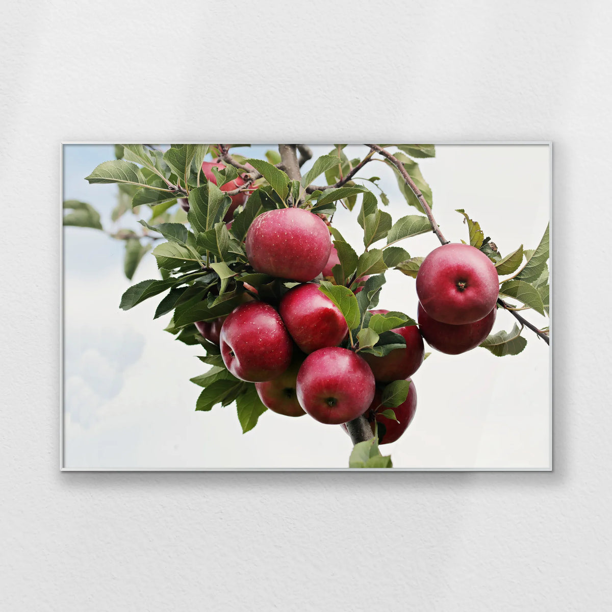 PS-120W080