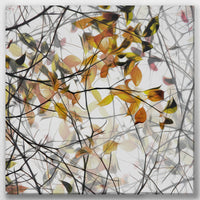 LW-060W060