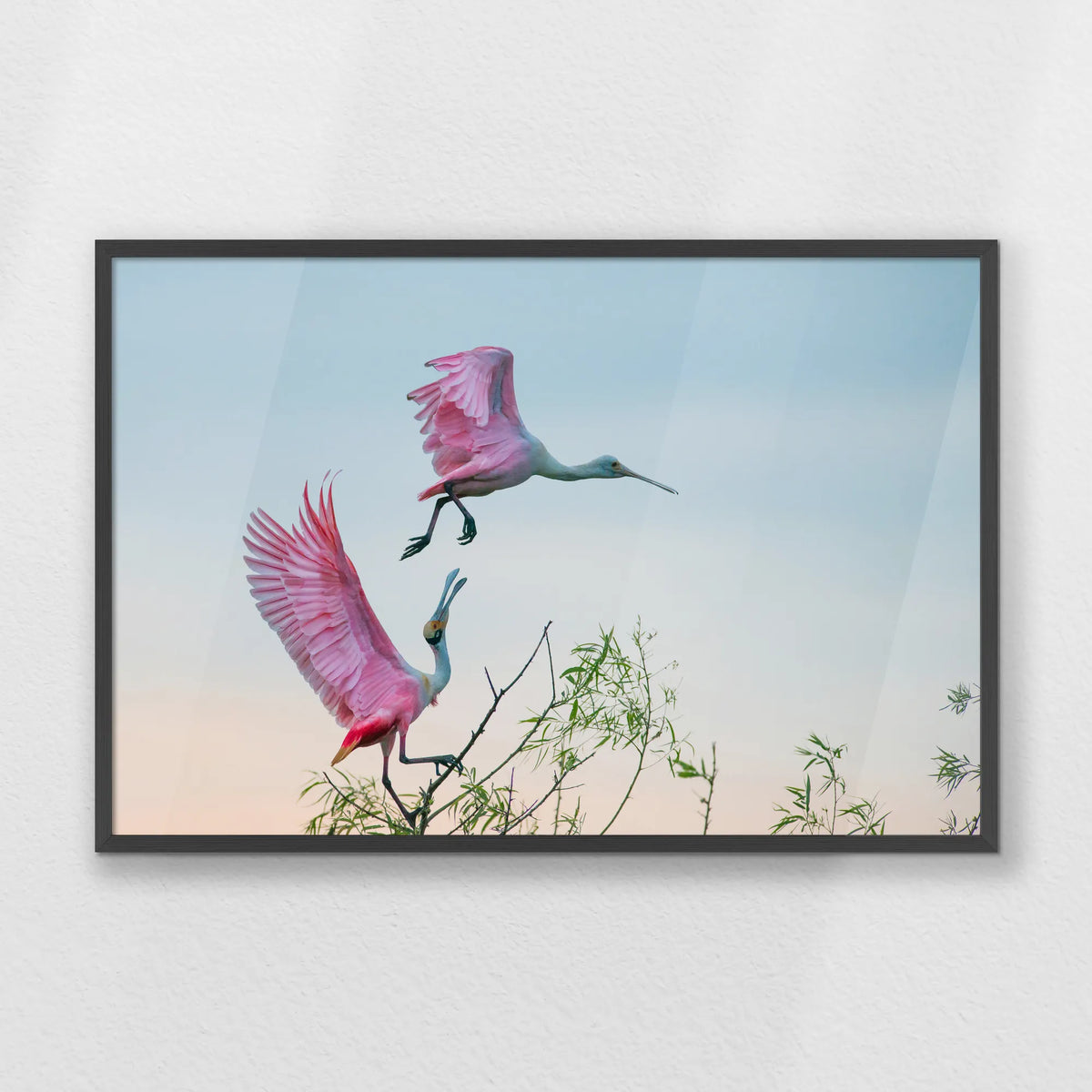 PK-093W062