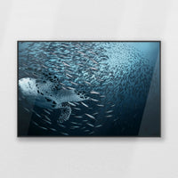 PB-100W070