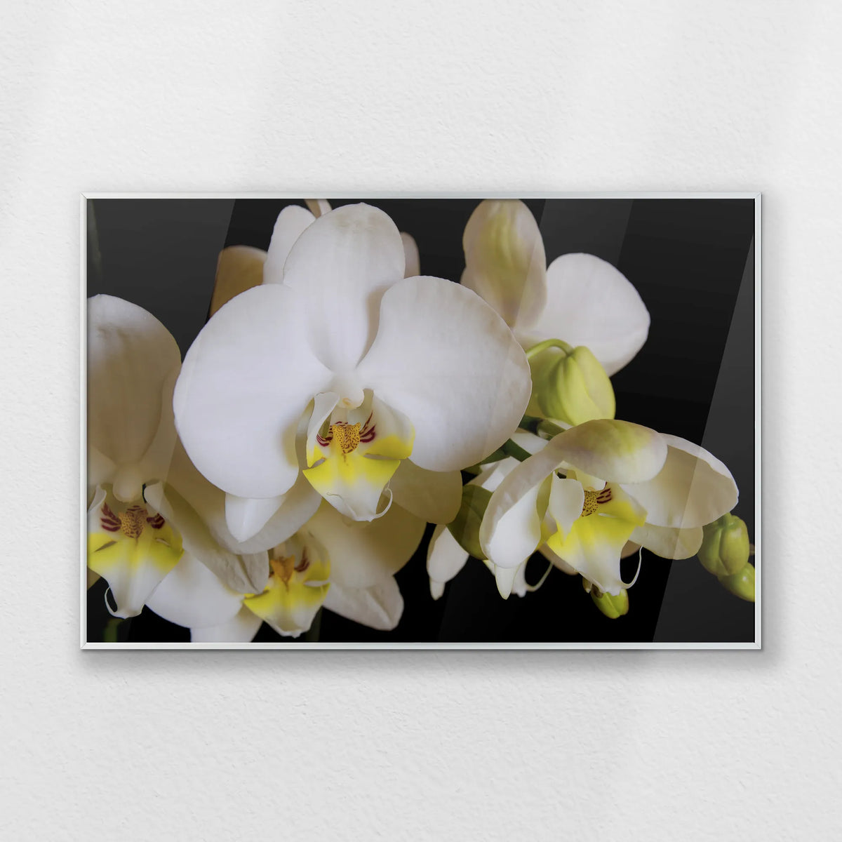 PS-093W062