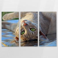 AL-120R080