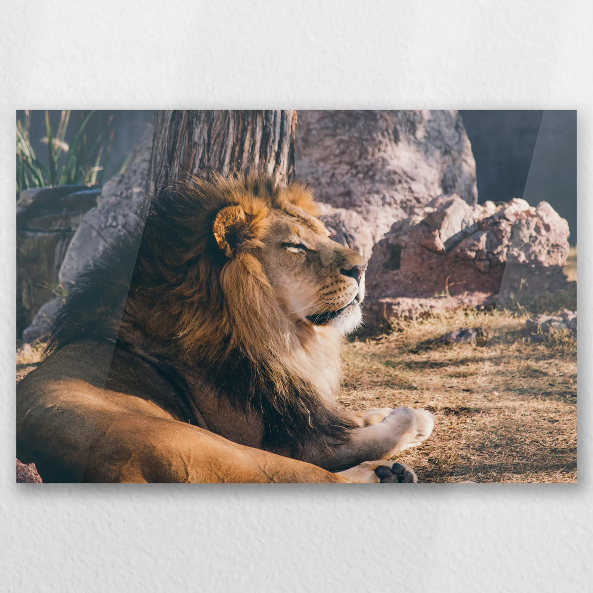 AC-030W020