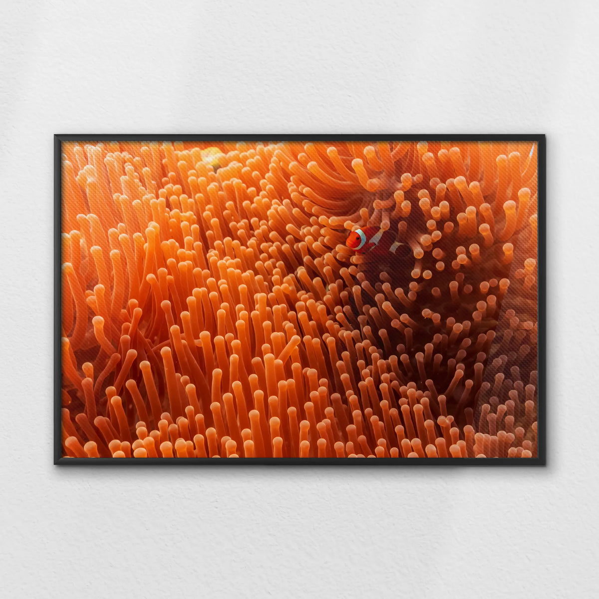 LWB120W080