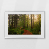 PSP093W062