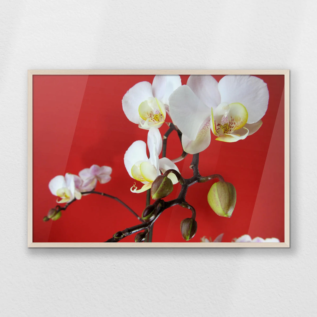 PN-093W062