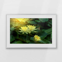 PSP093W062