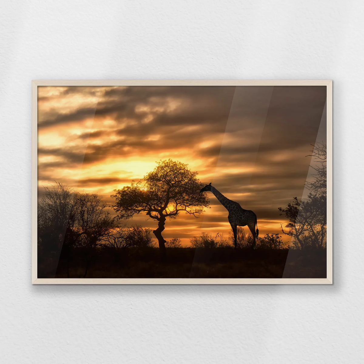 PN-093W062