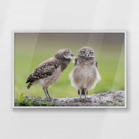 PW-100W070