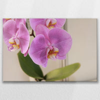 LW-090W060
