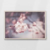 PN-093W062