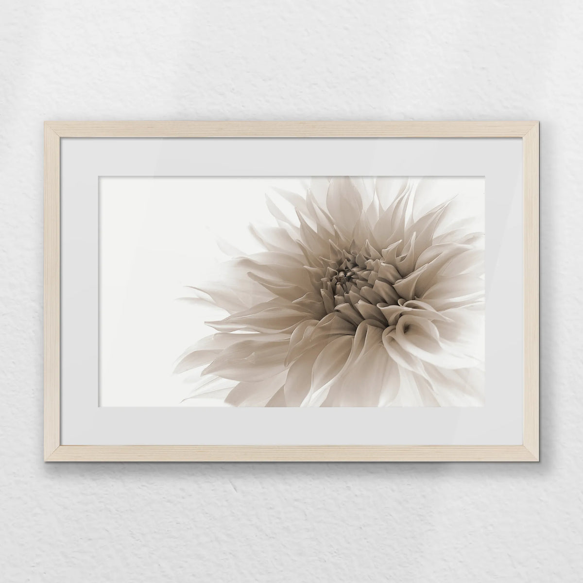 PNP060W040