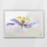 PW-060W040