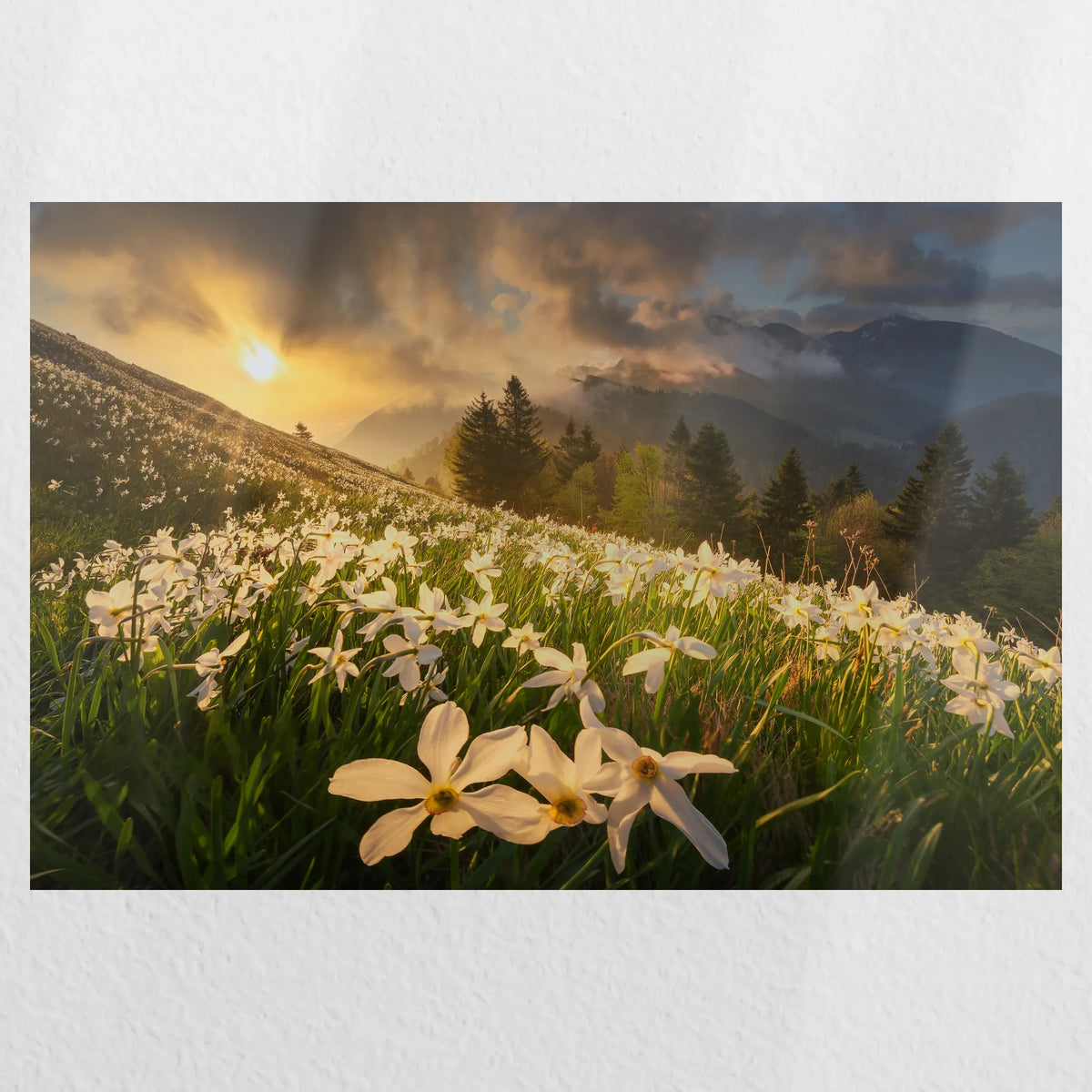 PO-045W030