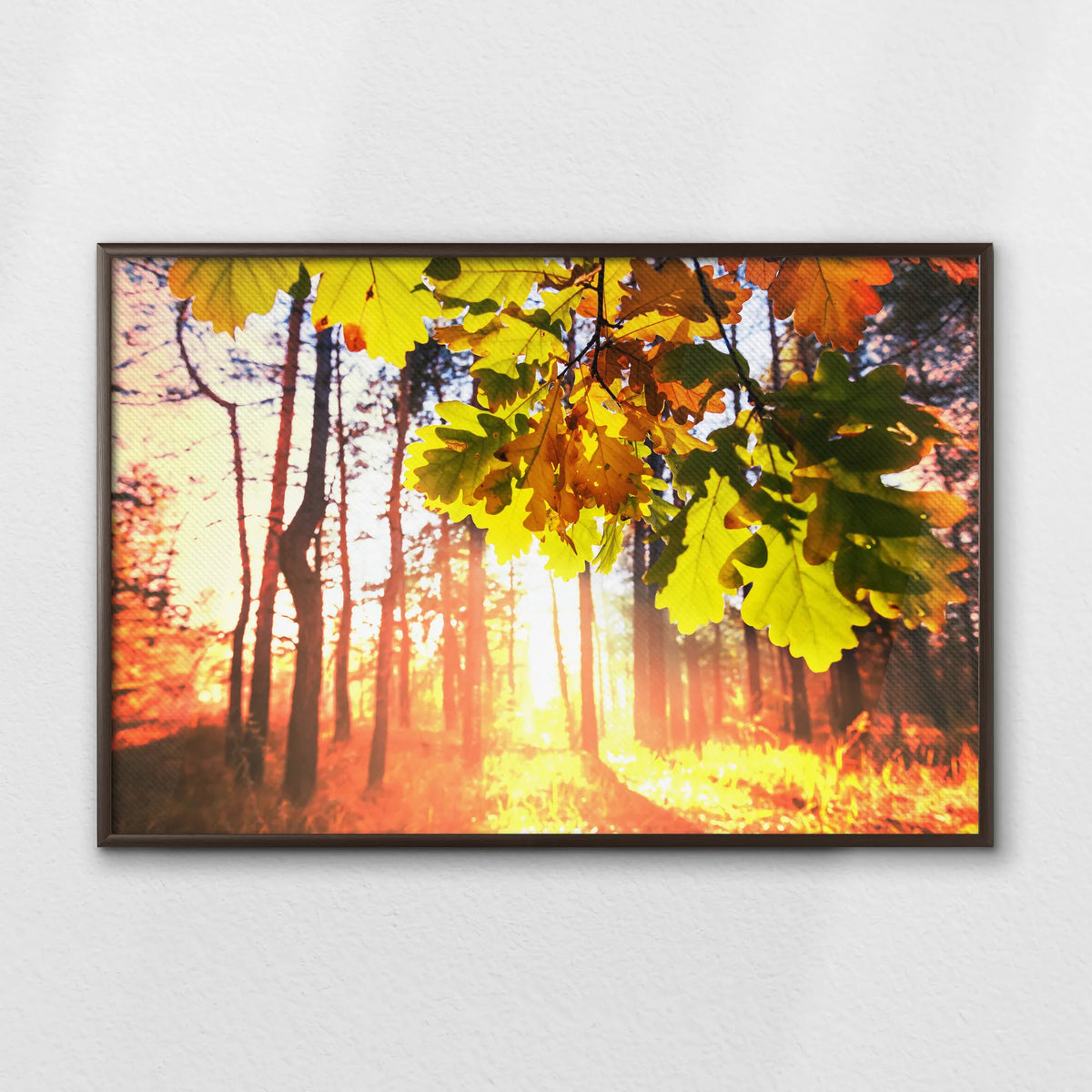 LWN100W070
