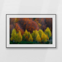 PBP120W080
