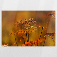 PO-030W020