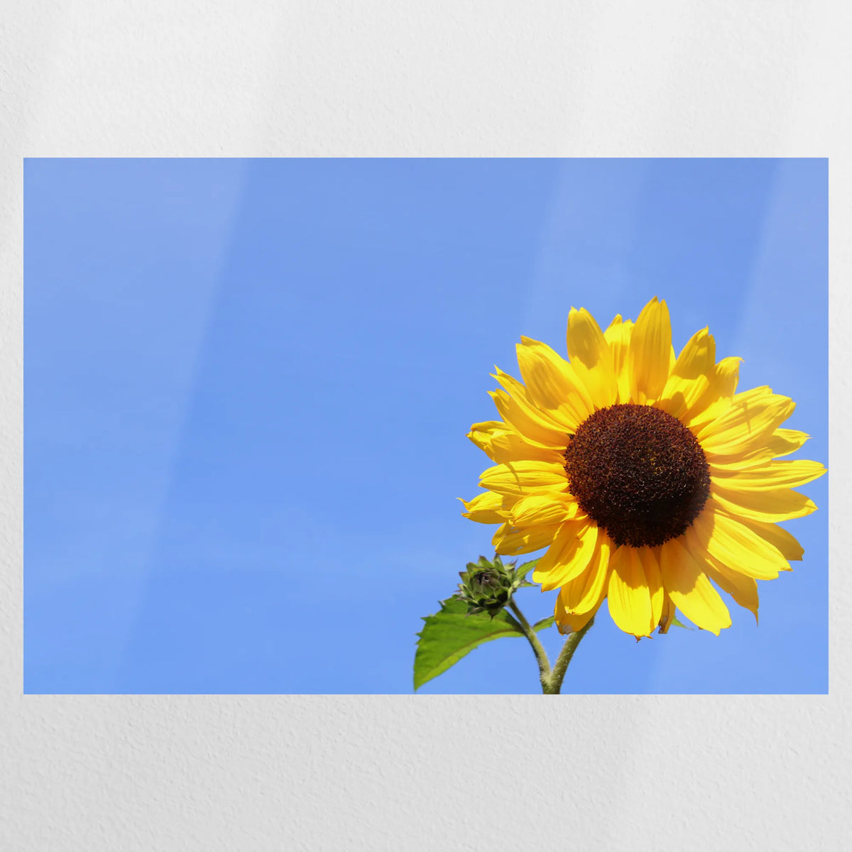 PO-075W050