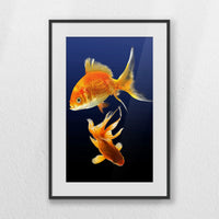 PBP040W060