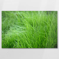 AC-090W060
