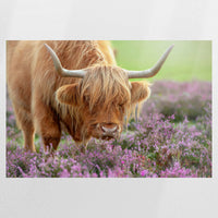 PO-120W080