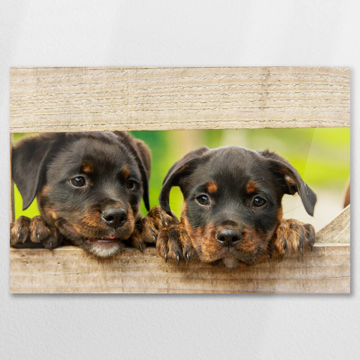 AC-075W050