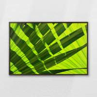 LWN120W080