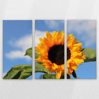 LW-180R120