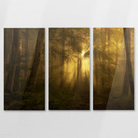 AC-150R100