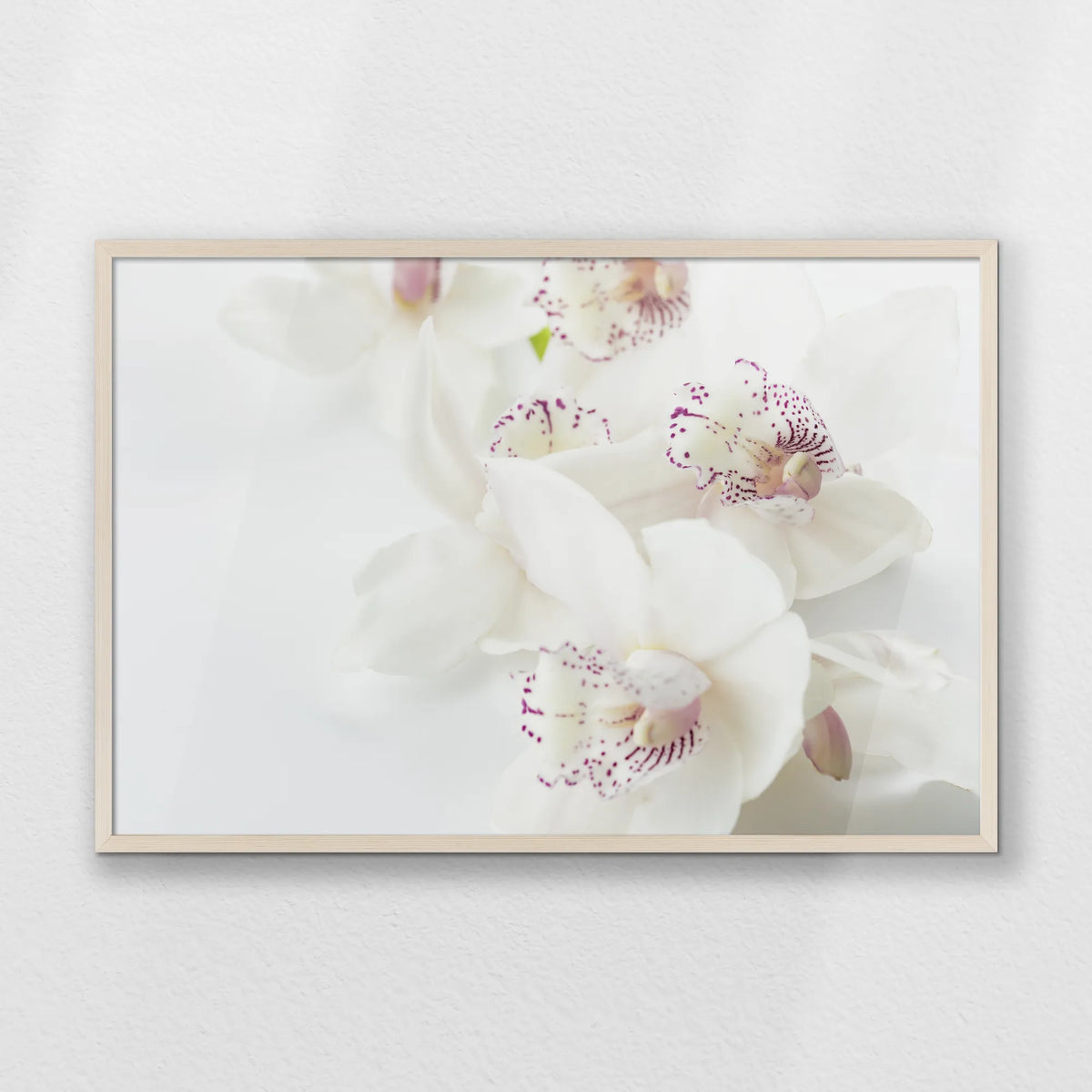 PN-093W062