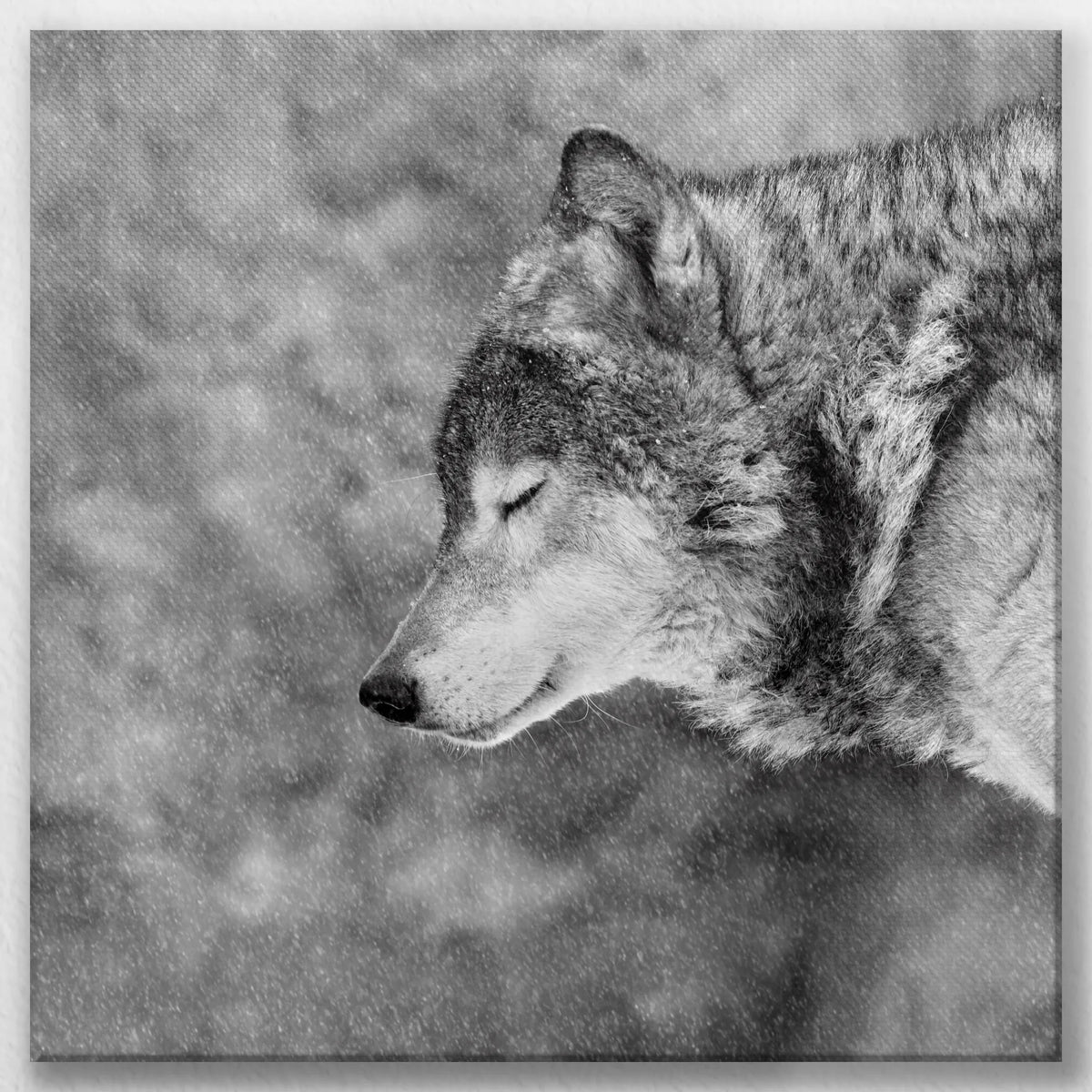 LW-060W060