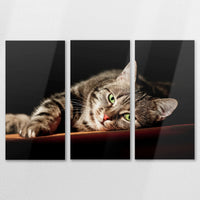 AL-150R100