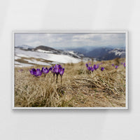 PW-093W062