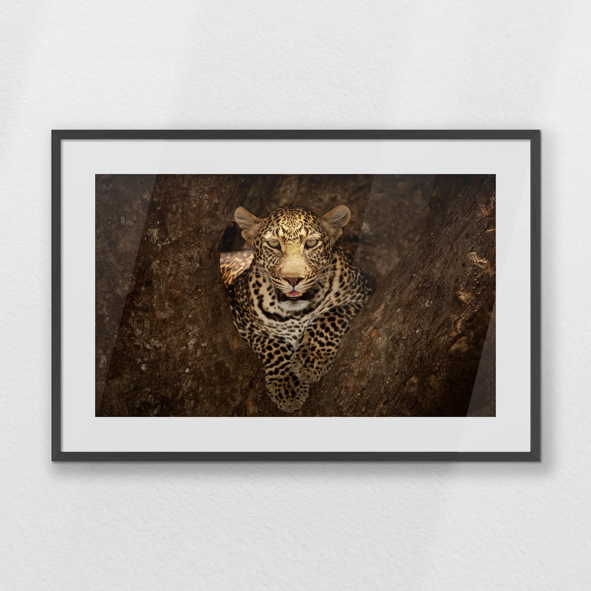 PKP093W062