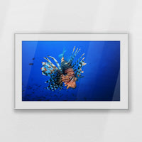 PSP120W080