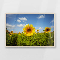 PN-093W062