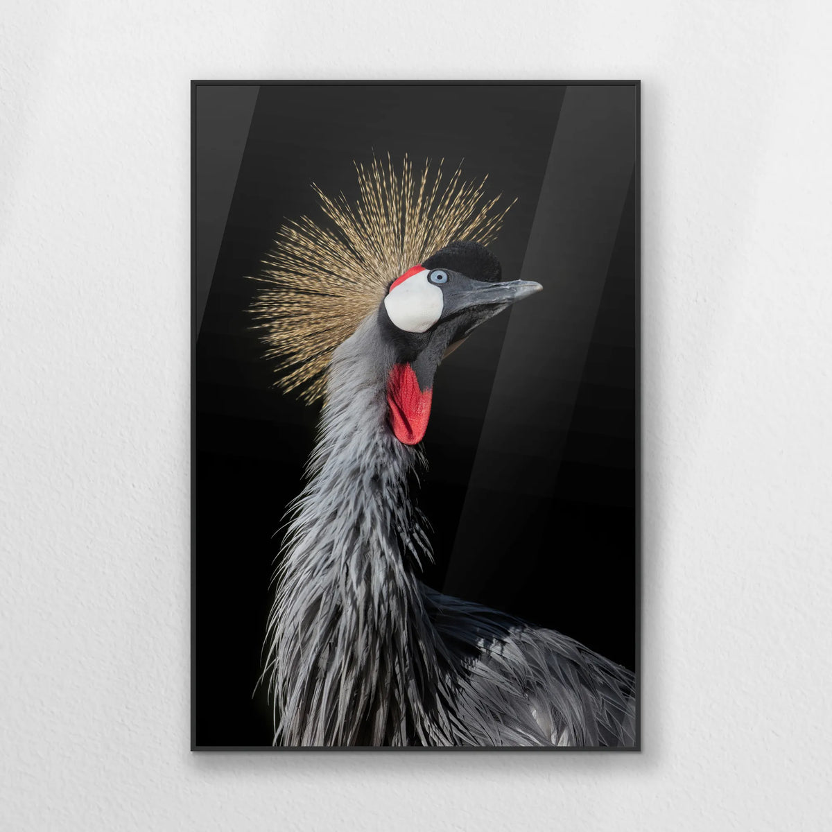 PB-070W100