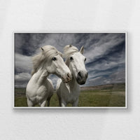 LWW120W080