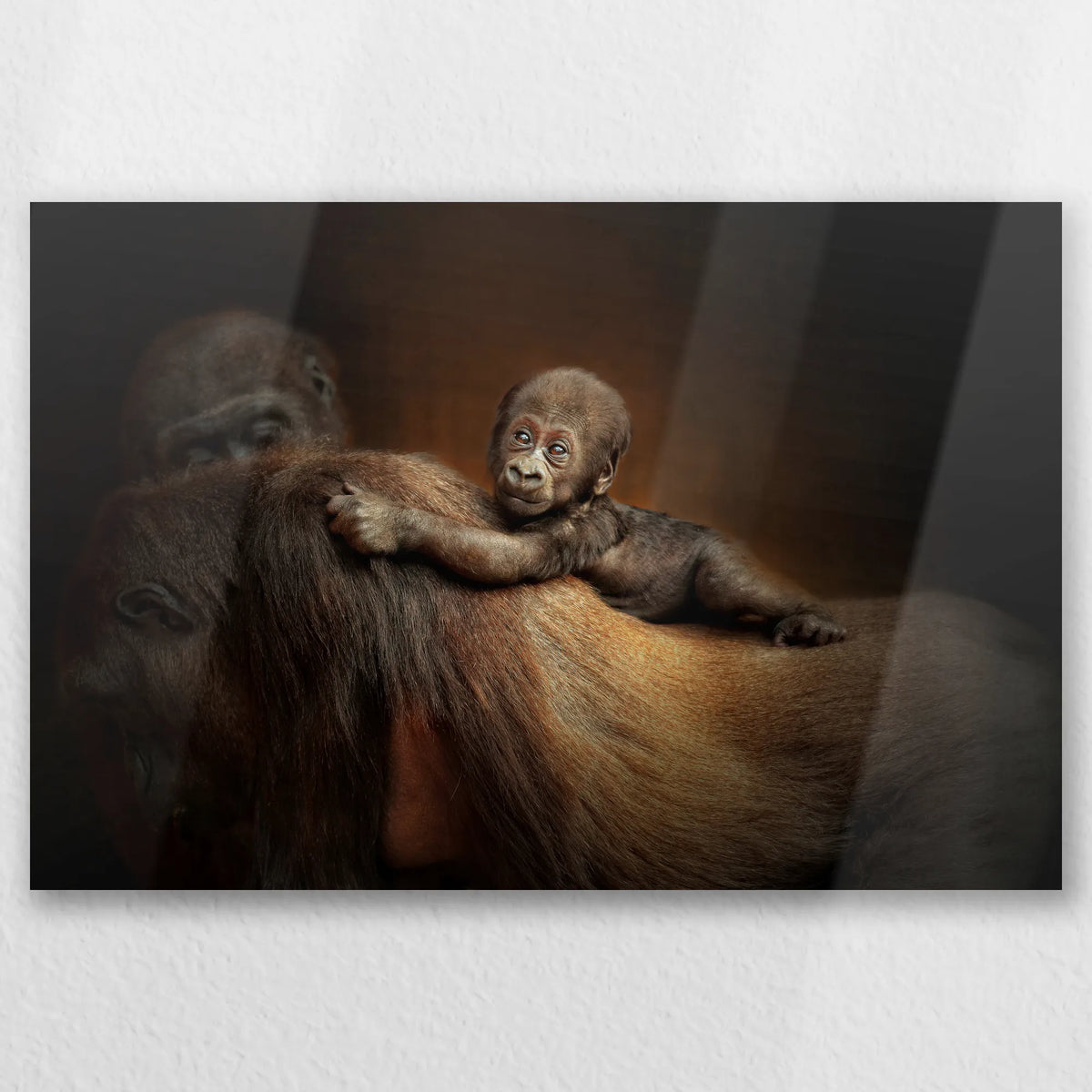 AL-045W030