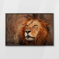 LWN120W080