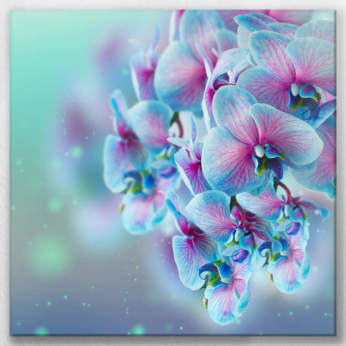 LW-050W050