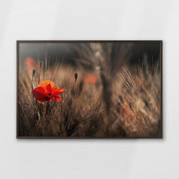 LWN120W080