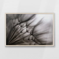 PN-093W062