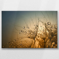 LW-045W030
