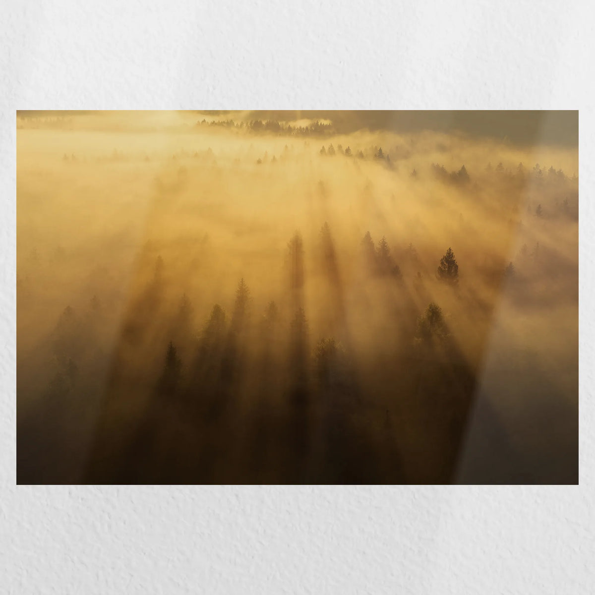 PO-030W020